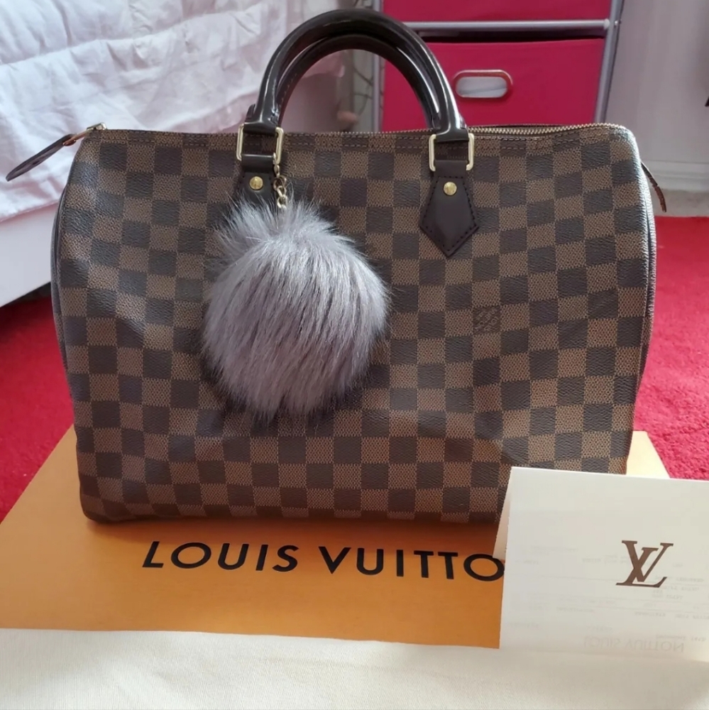 Louis Vuitton Speedy 30 Damier Ebene Monogram
